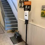 Möwenflug *