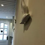 Möwenflug * Lübeck