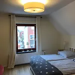Möwenflug