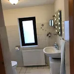 Möwenflug