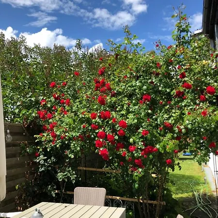 Moewenflug 아파트