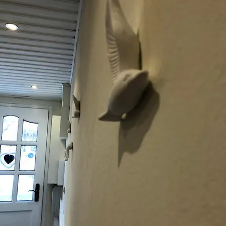 Möwenflug * Lübeck