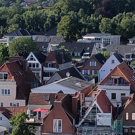 Möwenflug Lübeck