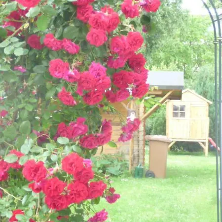 Apartamento Moewenflug *