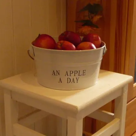 아파트 Moewenflug